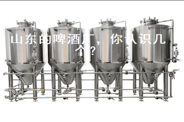 山東的啤酒廠，你認識幾個？