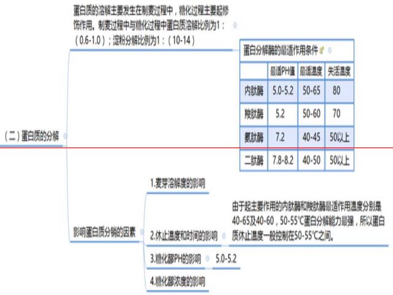 我的精釀日記 第8天 「糖化過程中物質的變化」