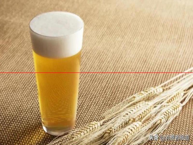 12款啤酒測(cè)試：哈爾濱、珠江等用料較“雜”；嘉士伯、青島泡沫持久性墊底