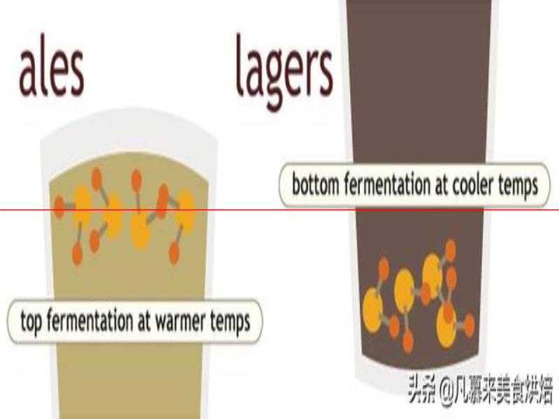 測評17款精釀啤酒，五花八門各種口味真奇葩，哪種啤酒好喝能奪冠