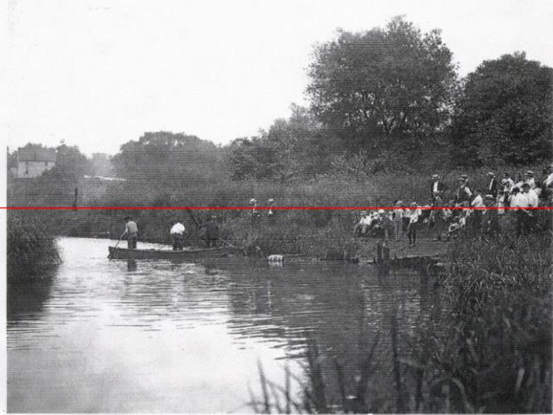 1916年，一條鯊魚擠進(jìn)小溪，吞食了5名美國人，居民展開復(fù)仇