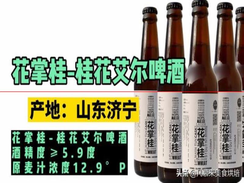 測評17款精釀啤酒，五花八門各種口味真奇葩，哪種啤酒好喝能奪冠