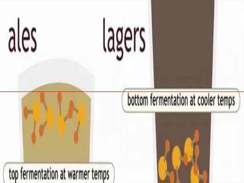 喝精釀，懂精釀——精釀啤酒分類(lèi)